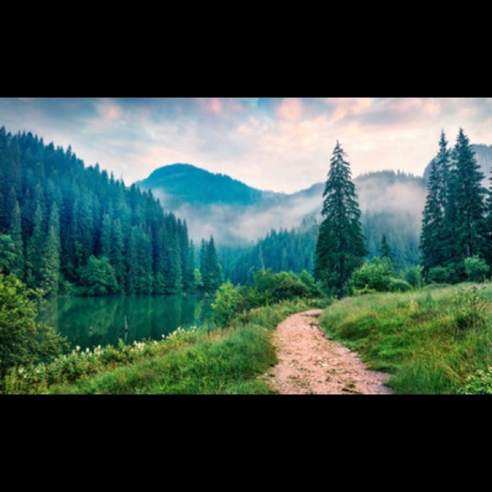 Meet your Posher, J.t.